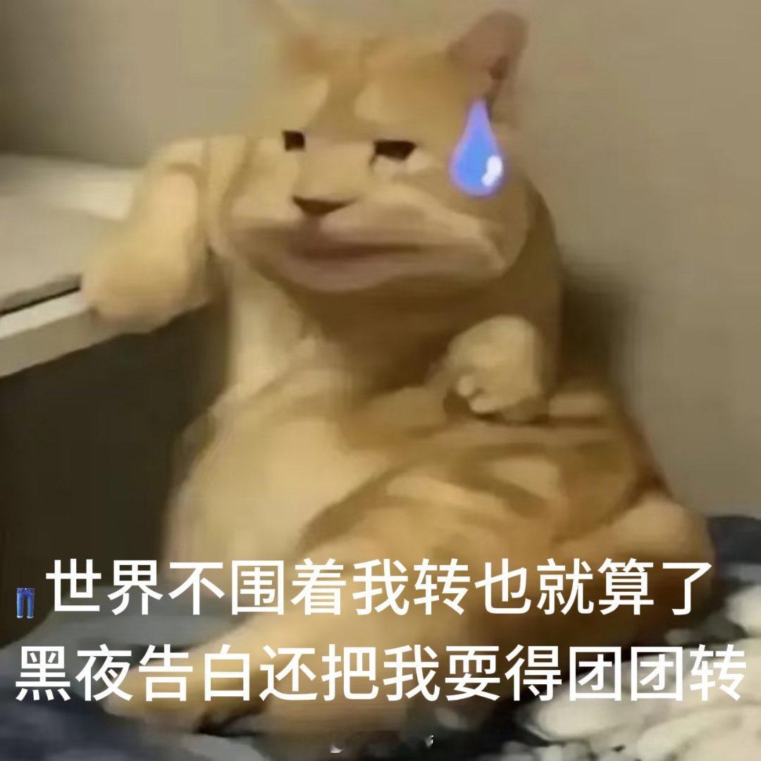 黑夜告白前面都白看了救命！这辈子猜凶最翻车的一次献给黑夜告白了😂谁能想到怀疑完