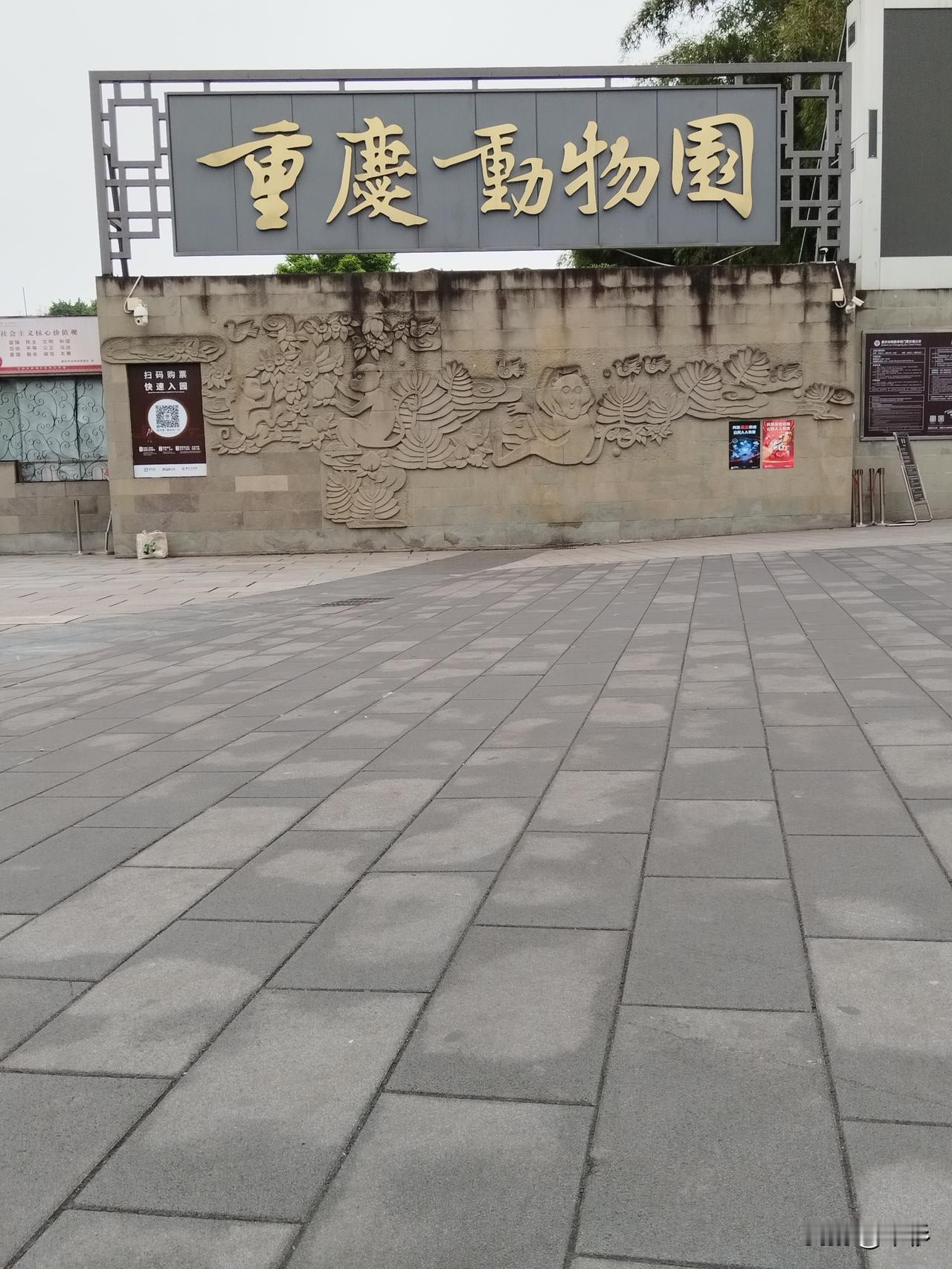 早就听说重庆有一个大型动物园，今天下午，我们专门去重庆动物园逛了一圈。重庆动