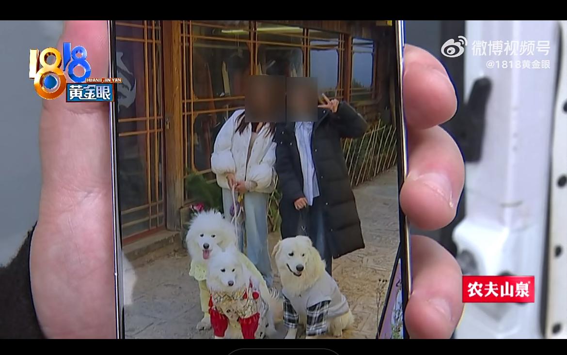 两小仙女丽江打货拉拉回杭州，伪造付款截图，欺骗帽子叔叔说付款了，货拉拉司机平白损