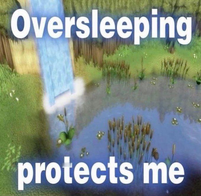 「过度睡眠保护着我」meme​​​