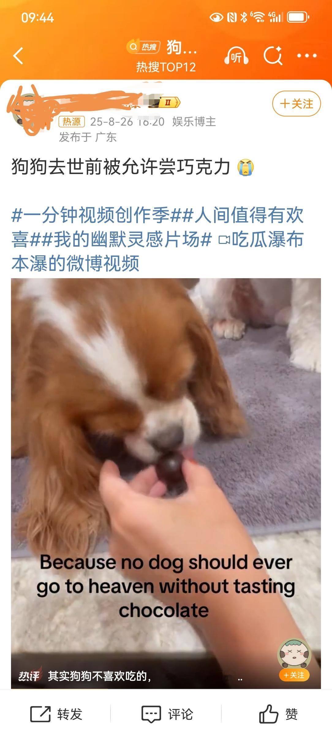 狗狗去世前被允许尝巧克力【讨厌对狗使用人类专属的词语】人是人，狗是畜生。“去世”