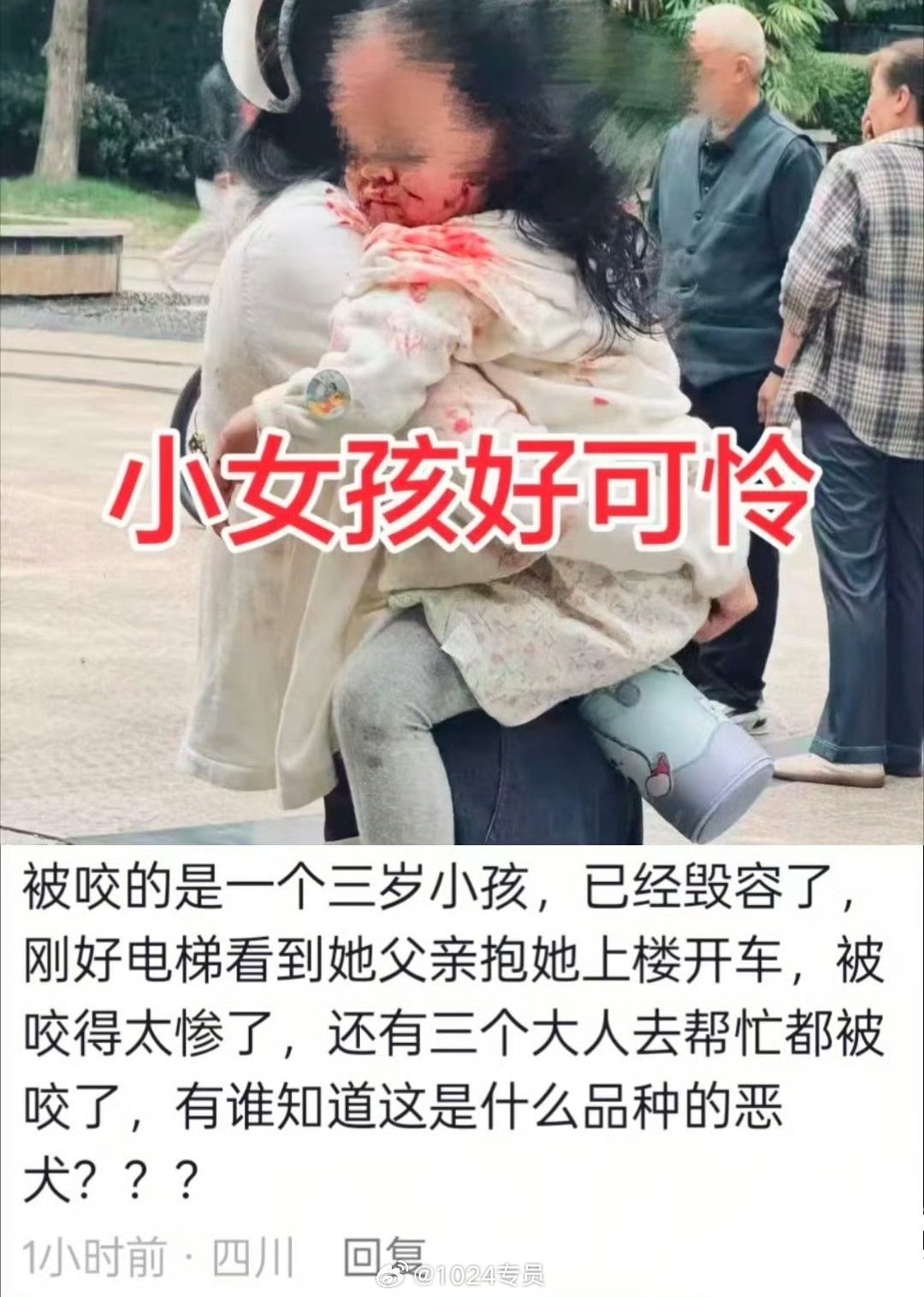 除了消防警察军队等公家机关之外，应该禁止私人养狗，私人养狗负面效应太大了。=​
