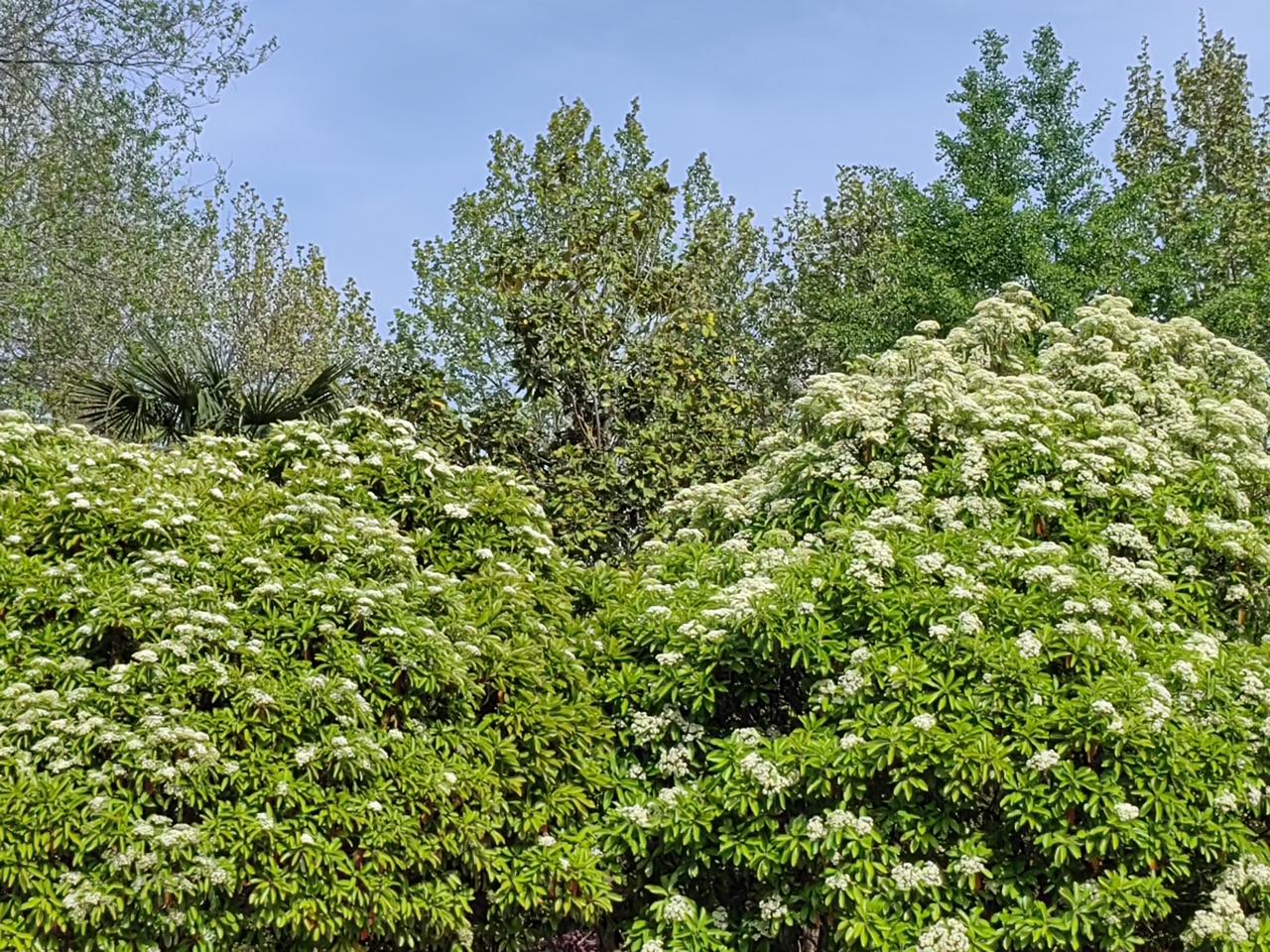 《宋史》把蔡确列入奸臣，蔡确是王安石欣赏举荐的。蔡确得势后，对王安石做了两件事