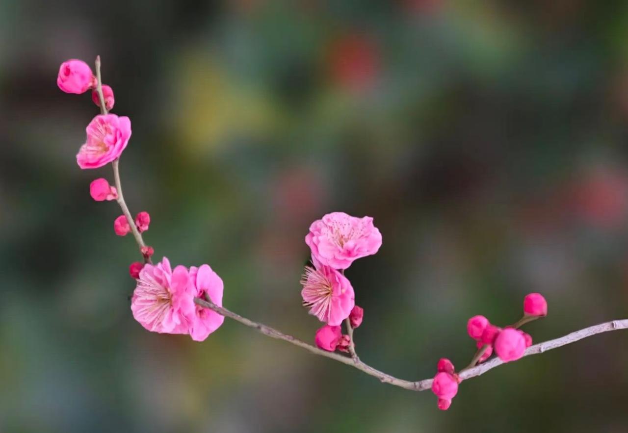 看到多家电商平台被监管部门严厉处罚的消息，感觉监管部门要对电商平台监管开始动真格