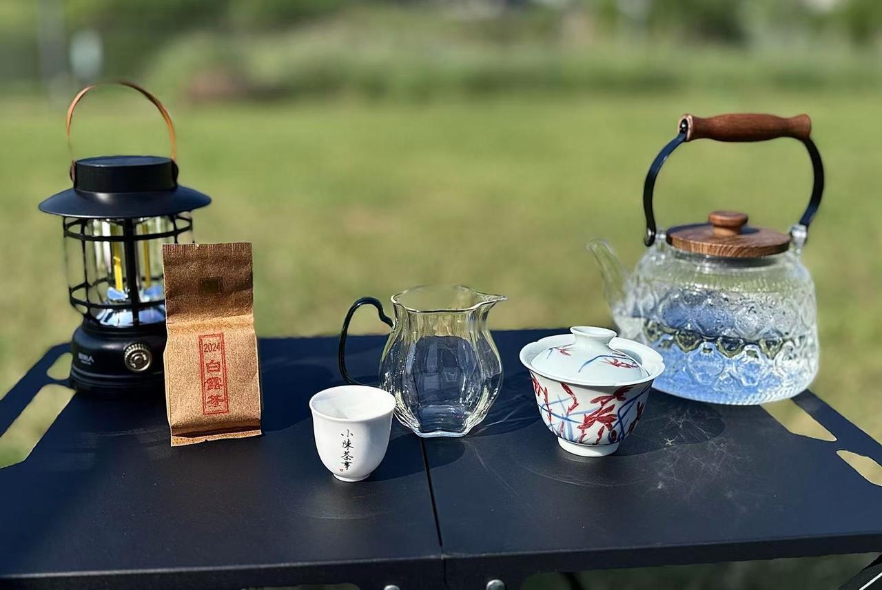 现在流行的户外喝茶到底怎么喝？春季，正是踏青的好时候。不妨带上一杯茶，既能享