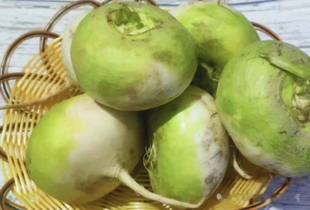 在新疆丰富的特色农产品中，恰玛古是承载着千年农耕文明的古老蔬菜品种，其学名经新疆