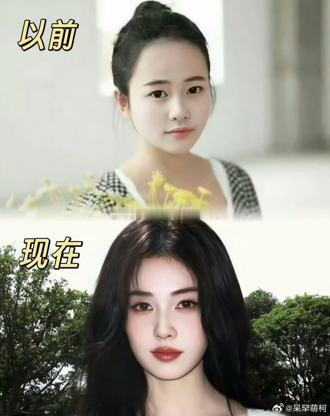 白鹿以前和现在对比，这算是换头吗？