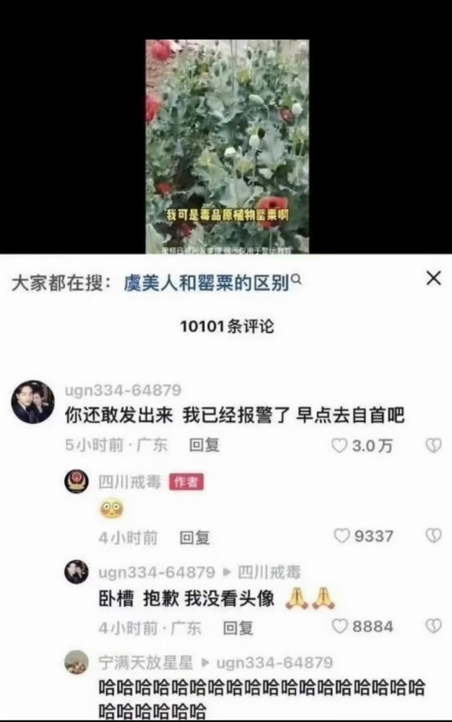 中国人禁毒是真的六亲不认！笑死了😂