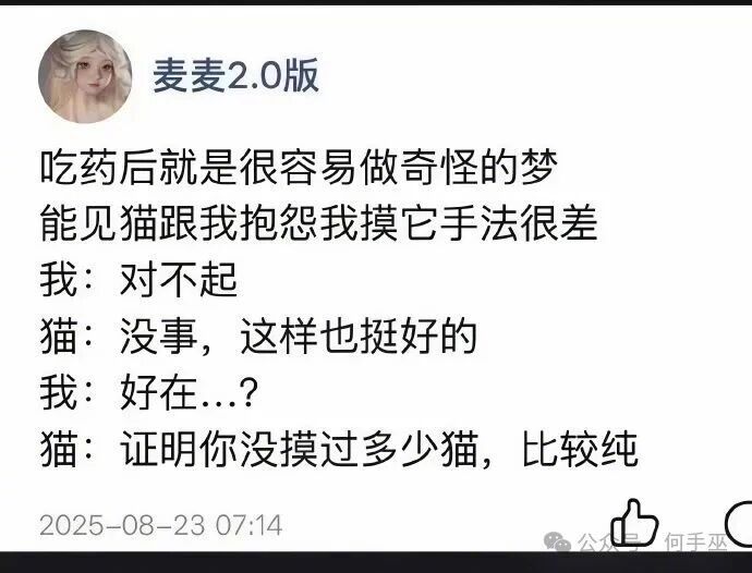 这不挺好么，猫猫都给你托梦了