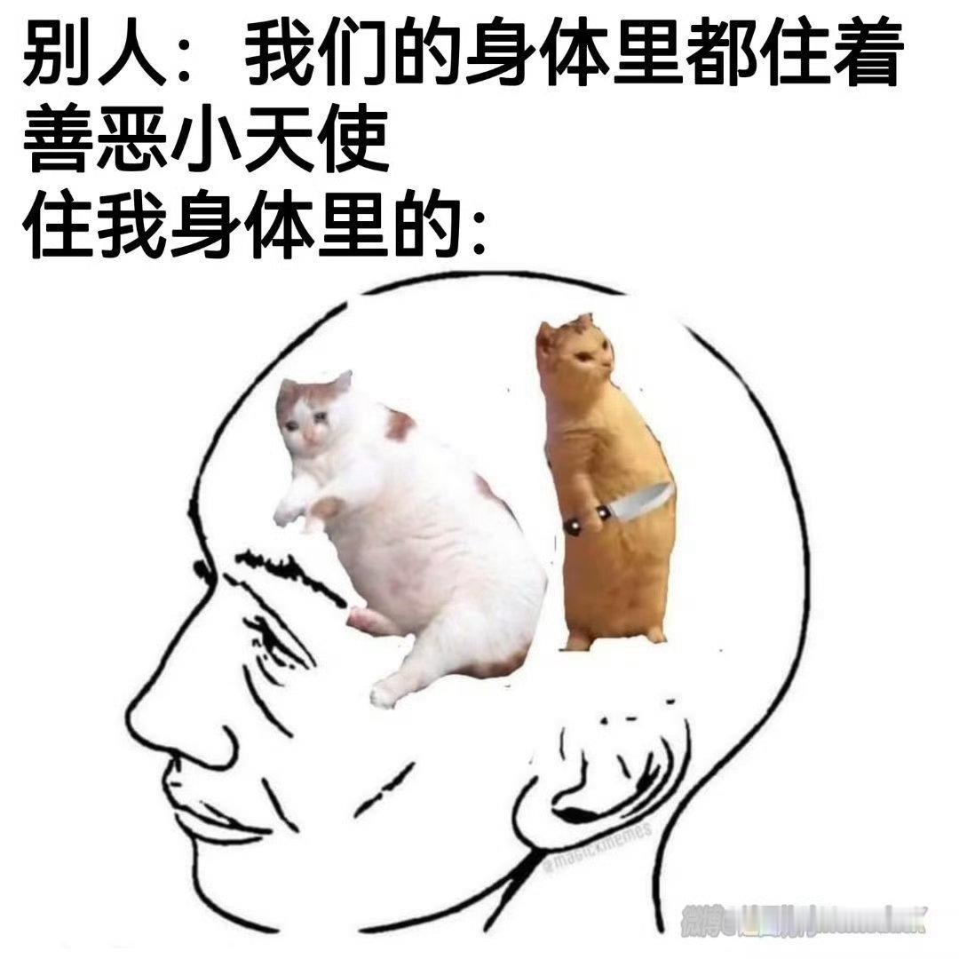 这就是我