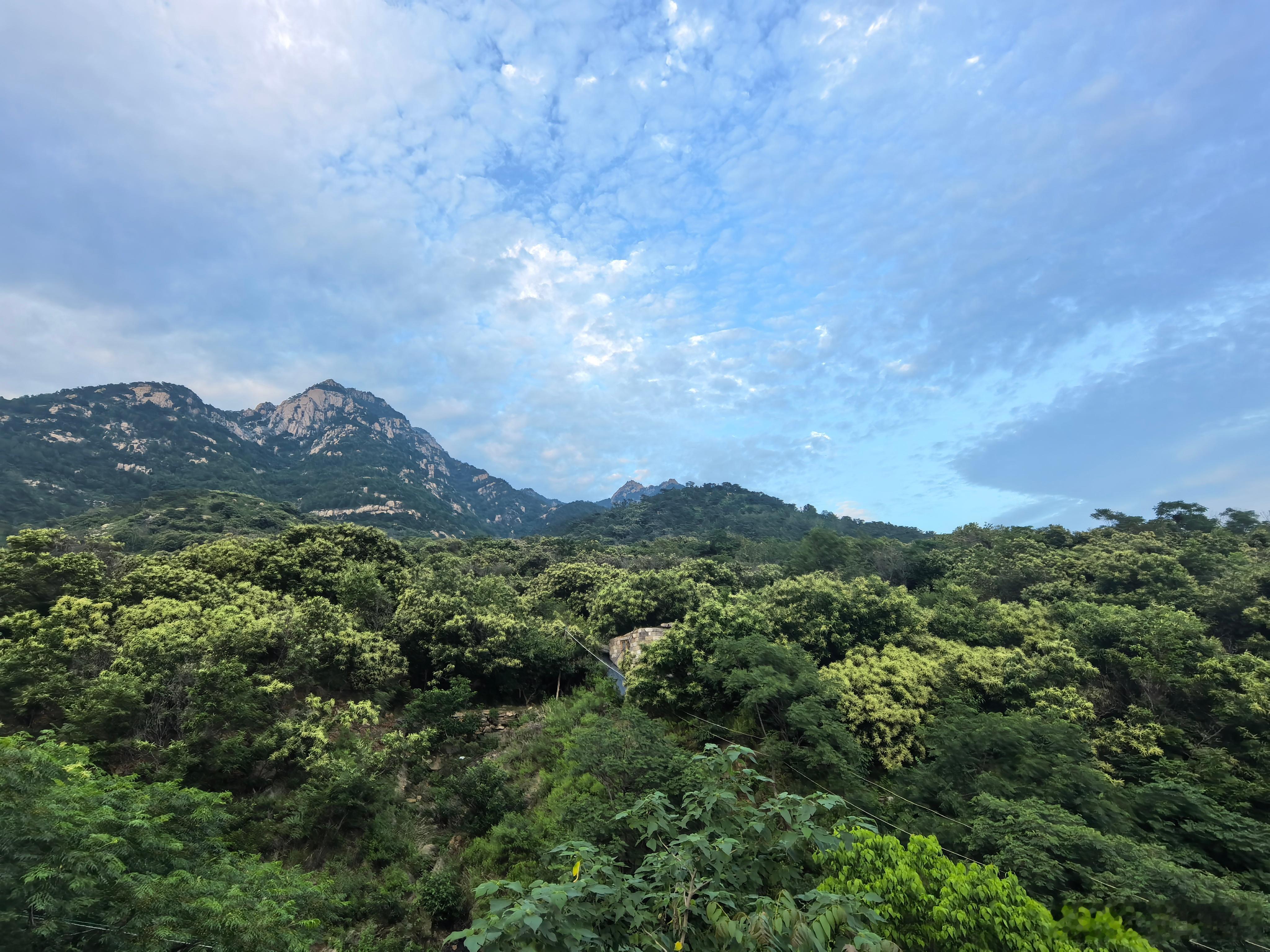 回泰山小院看看，和师兄聊会天泰安·泰山风景名胜区