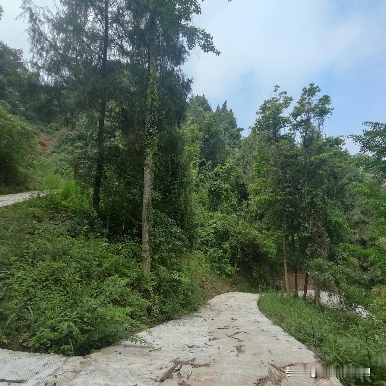 夏天的二婶去世了，公公回老家帮忙。昨晚上我回来比较晚，听到婆婆在卧室里好大的嗓门
