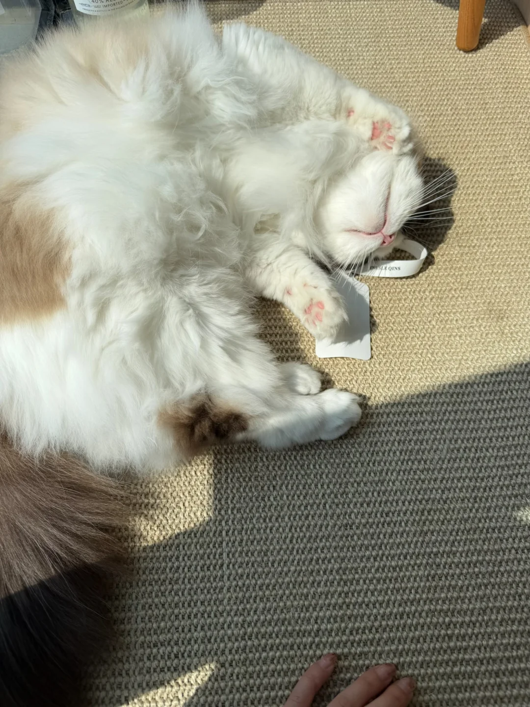 买什么玩具 都不如这些小破烂