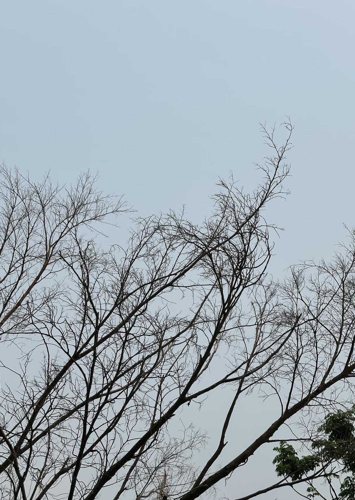 真的会被身边这种优秀的人狠狠治愈✨大学里有位同学，成绩好、会社交、还特别自律，