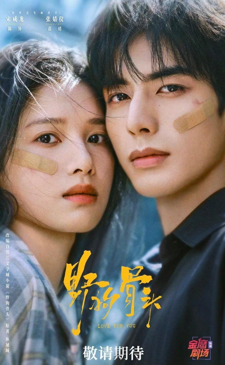 9部高分现偶新剧合集！《我在顶峰等你》主演：孙珍妮、陈靖可《舍不得星星》主演：张