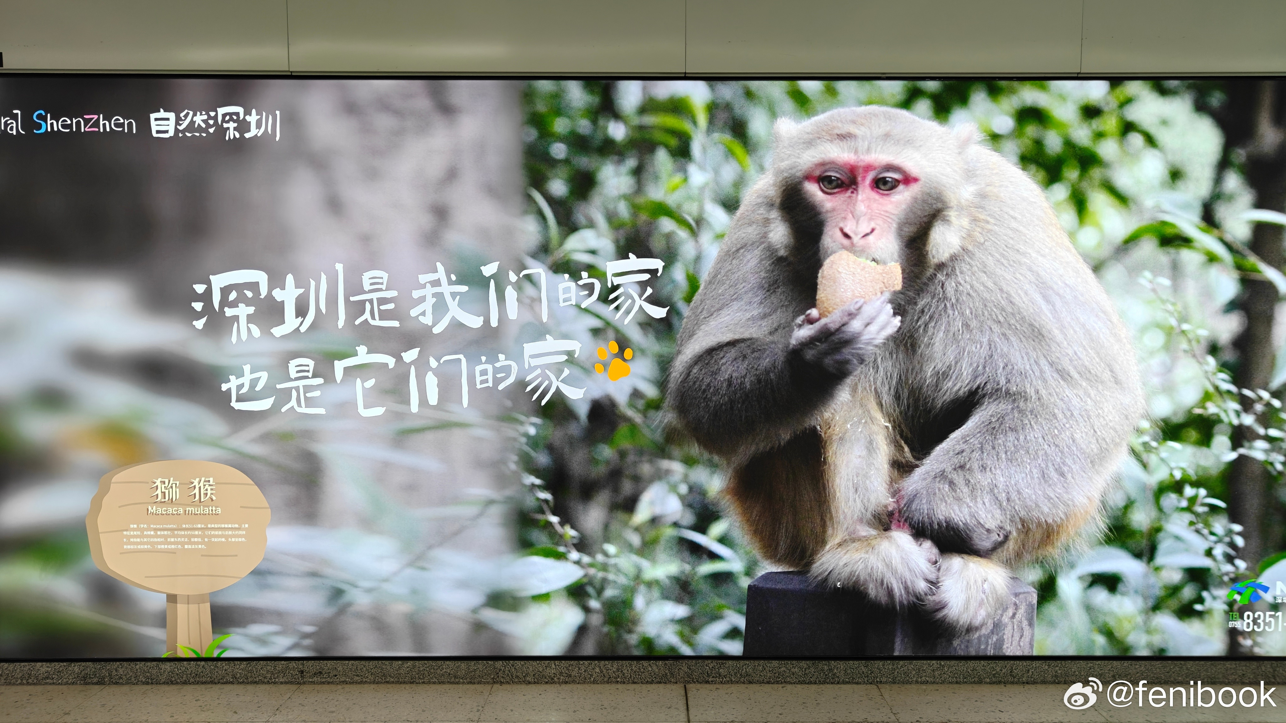 深圳是🐒家，也是🐮🐴家。​​​