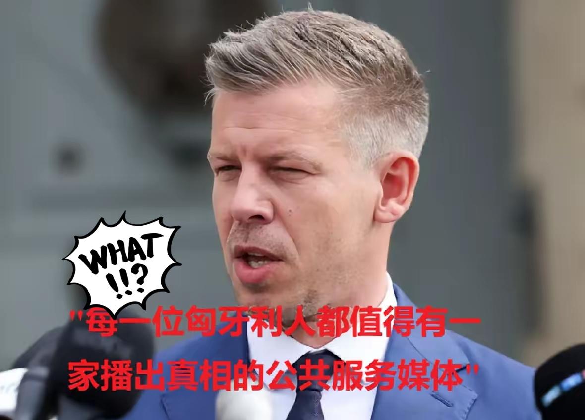 匈牙利候任总理毛焦尔宣布暂停国家媒体广播！毛焦尔（4月15日）表示，他的政府将