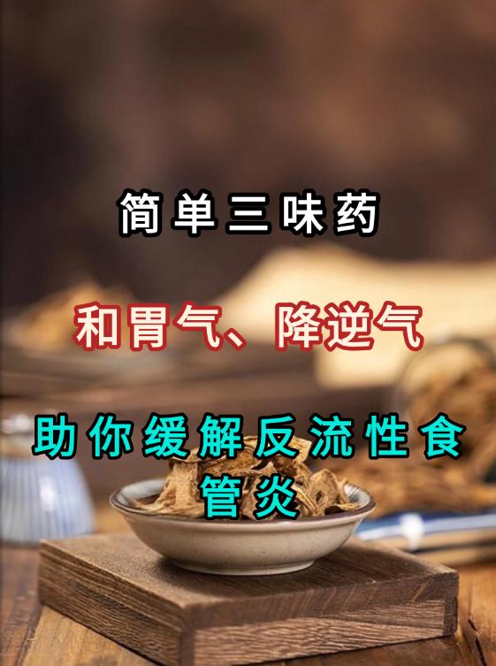 简单三味药，和胃气、降逆气，助你缓解反流性食管炎 现代人生活节奏快，饮食不规