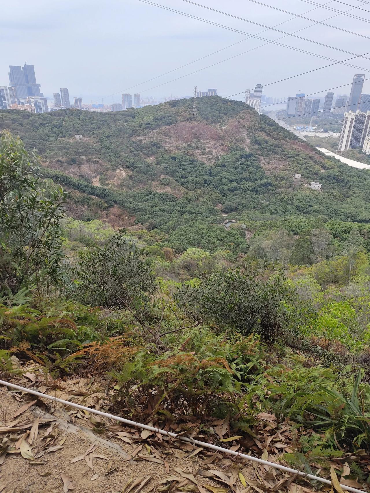 读三国，我其实很不喜欢张松和法正，人家刘璋对他们真的很好。他们为什么一门心思出卖