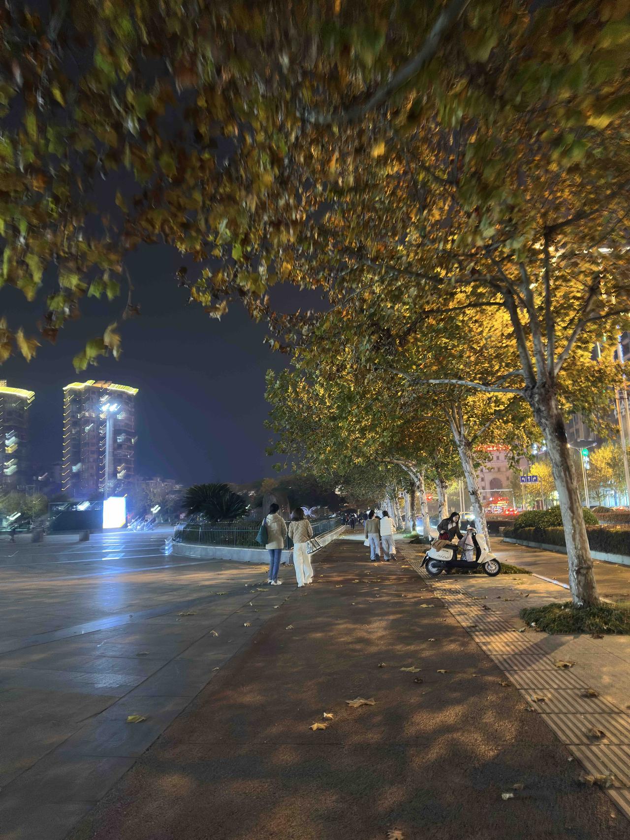 一位好久没联系的已退休老同事突然发起微信语音跟我聊天，原来是邀我跟她一起去南京旅