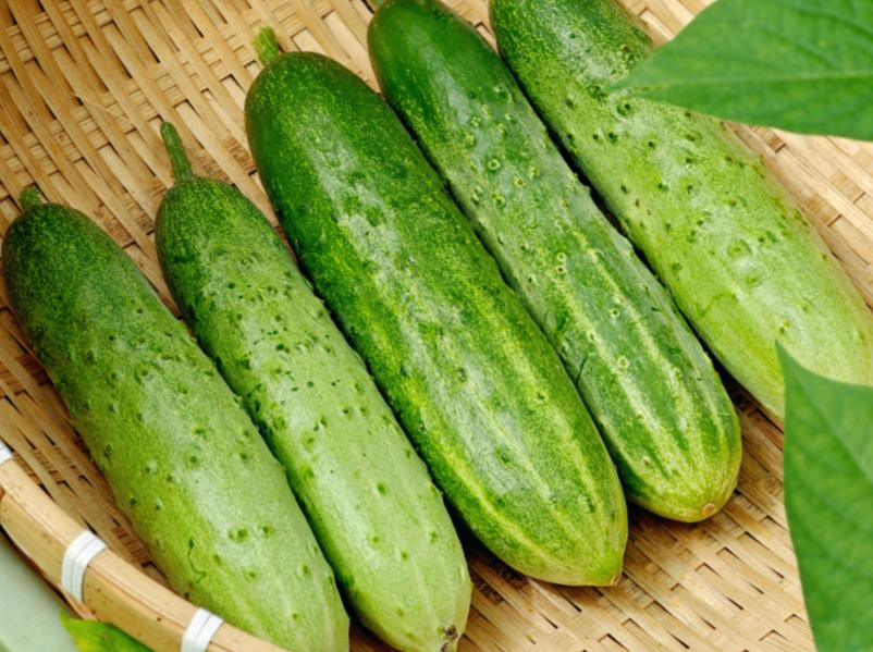 黄瓜立大功！医生发现：经常吃黄瓜的人，用不了多久，或有4变化黄瓜这东西，