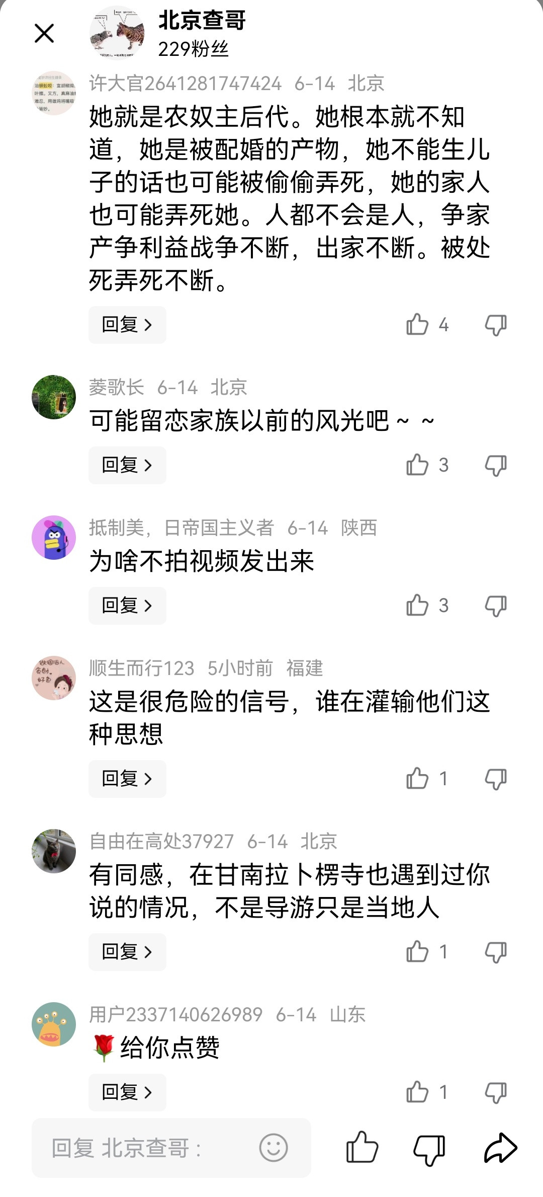 小仙女欠被做唐卡了，一个刚刚解放的丫鬟尝试着学小姐去留恋旧社会，憎恶新社会