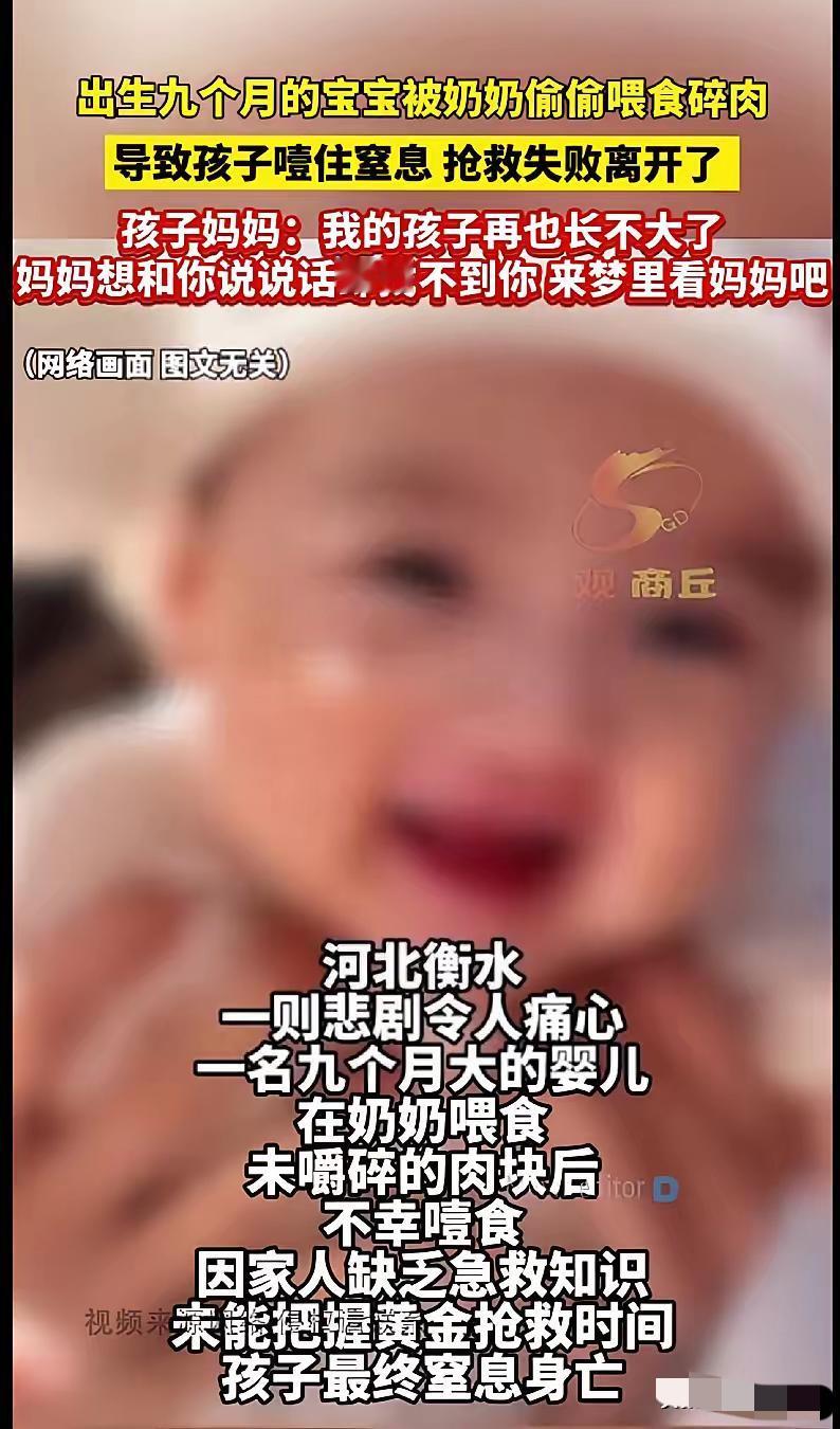 “真的被河北衡水这个事儿整破防了！九个月大的宝宝，就因为奶奶偷偷喂了块没嚼碎的肉
