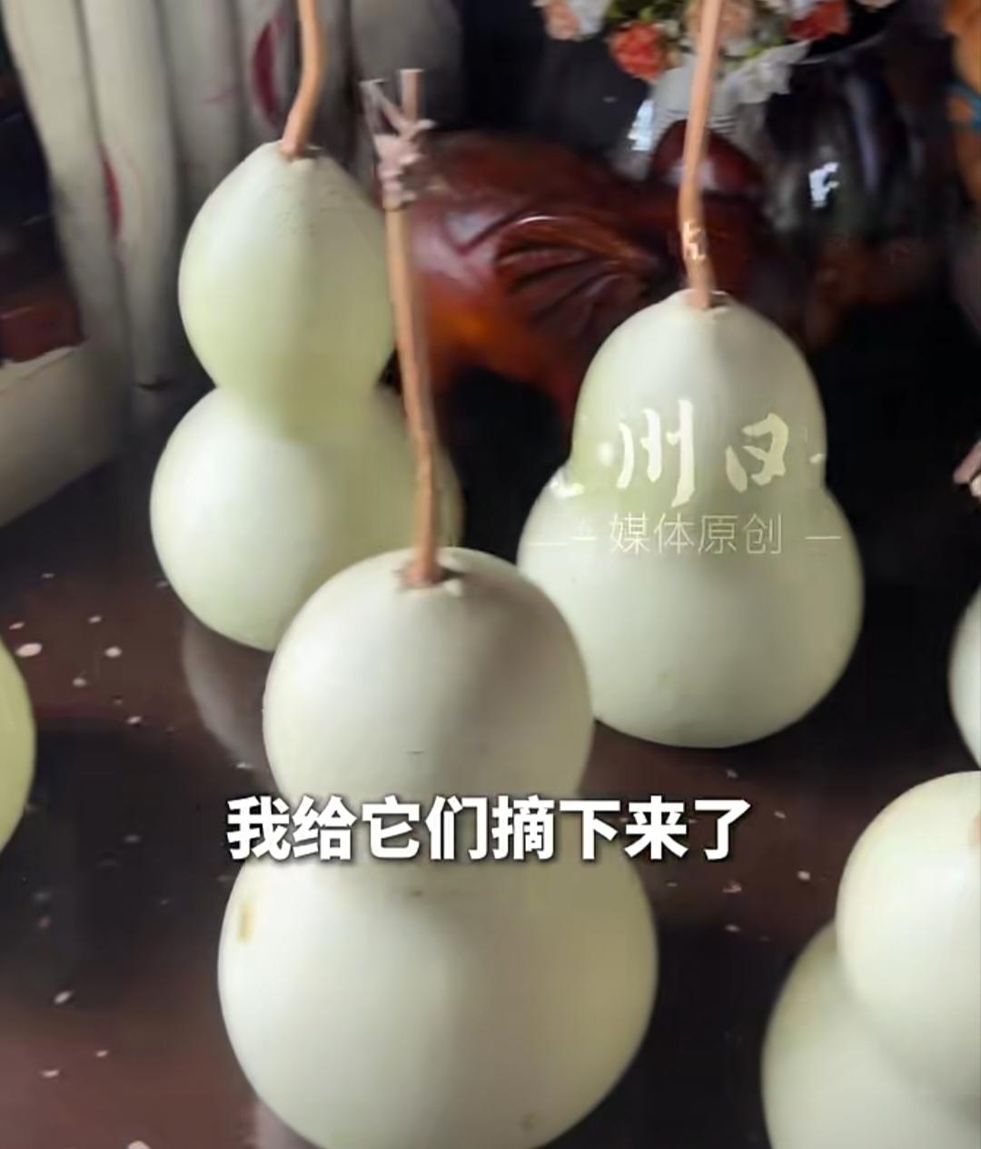 七个葫芦娃摘下来有人出高价要买爷爷说，不会卖的，这就像自己的孩子一样，舍不得