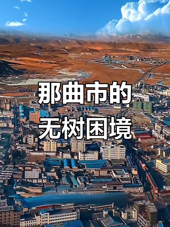 那曲无树的困境那曲是我国海拔最高的地级市，平均海拔4500米，含
