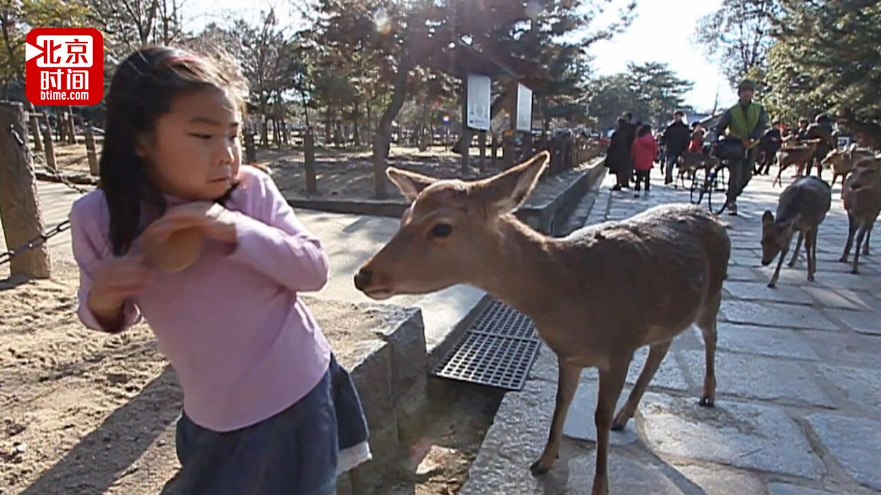我们把对日的12条航线全部停了，这下子，日本人可以高兴了！一直以来，中国游客都