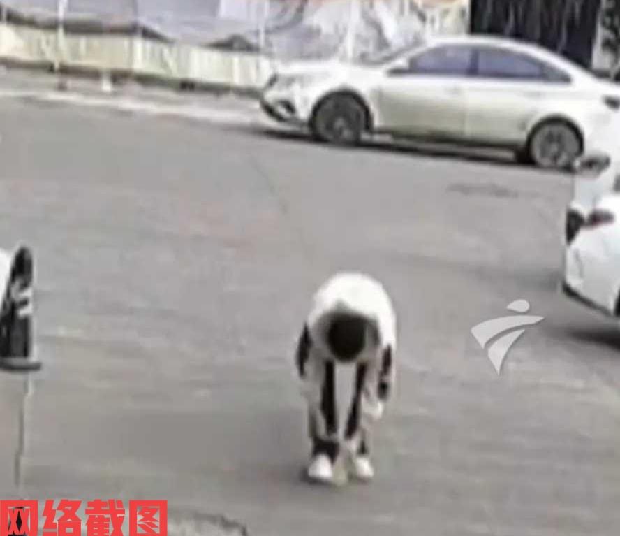 浙江金华有小伙走路看鞋带松开。此刻小伙正要弯腰蹲身下系好鞋带，突然有辆面包车