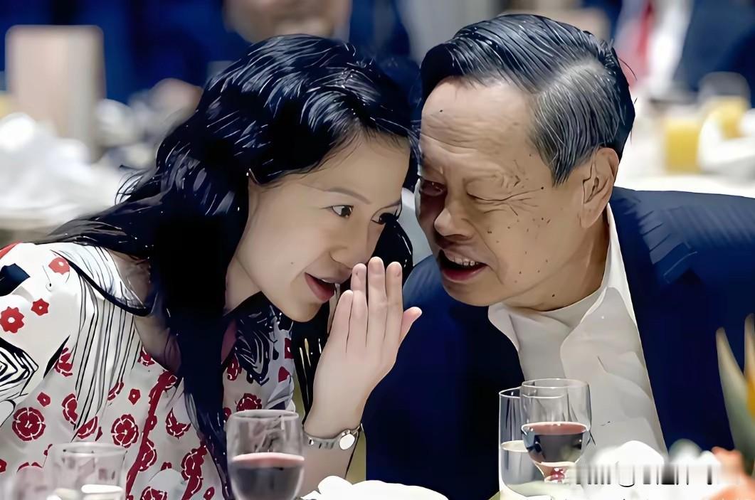 婆婆说翁帆不是因为聪慧才嫁给杨老生的，她是感情，受到了打击，才决定嫁给杨先生的