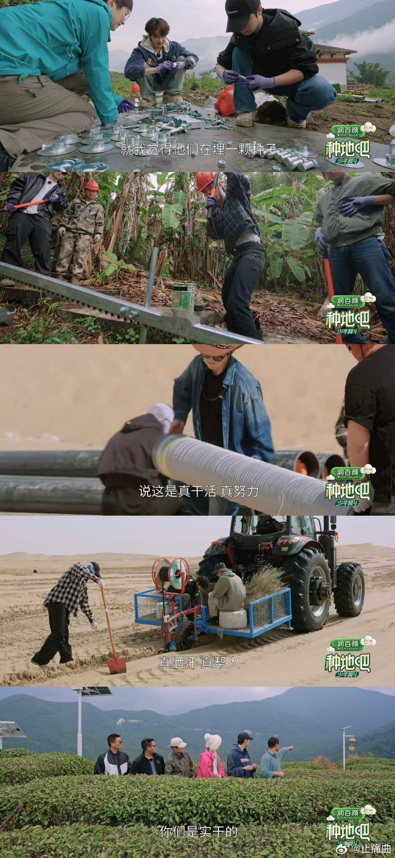 种地吧4认真种地实在助农看完种地吧4最新宣传片直接沦陷，墨脱蕉林、新疆大枣还有
