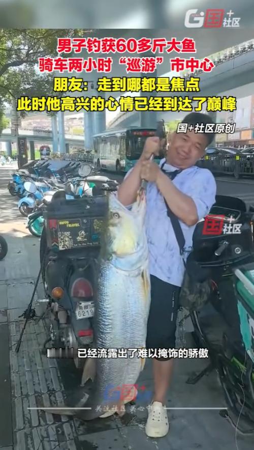 这就是命啊！8月26日，江西南昌一男子在河边钓鱼，竟然钓上了一条60多斤重的大鱼
