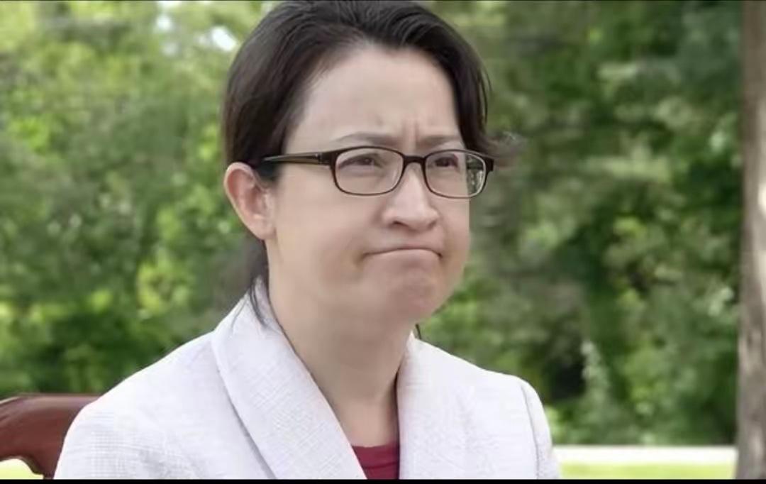 美日发布联合声明后，台湾地区副领导人萧美琴今天发文：“重要的是美国和日本重申对台