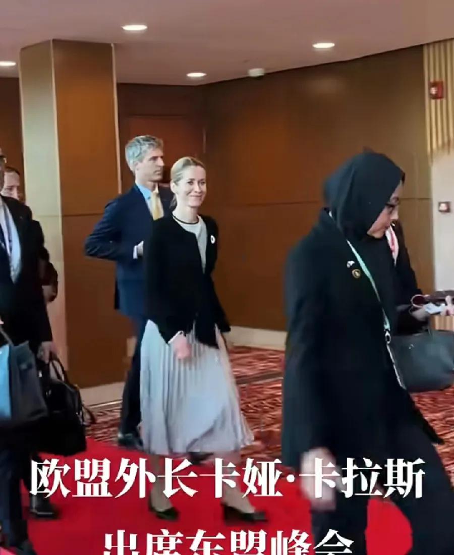 东盟峰会，现在搞大了，欧盟女外长卡斯拉、英国外长拉米，也来了！美国、俄罗斯外长，