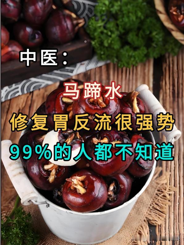 中医：马蹄水，修复胃反流很强势，99%的人都不知道大家好！我是陈玉龙主任。今