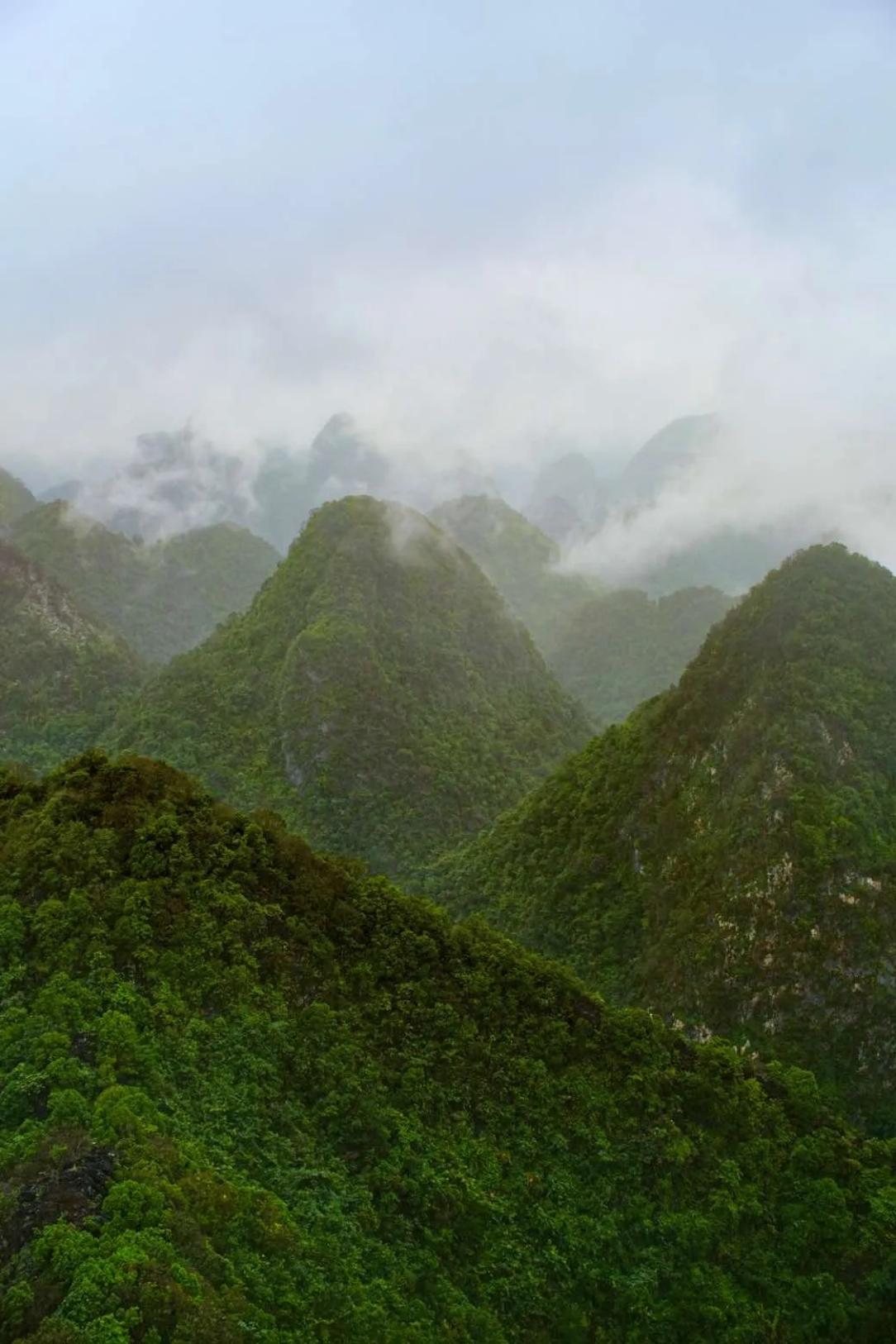 想起妈妈在我失去双腿后，我们于医院初次相见的场景。妈妈的目光先是落在我脸上，愣了