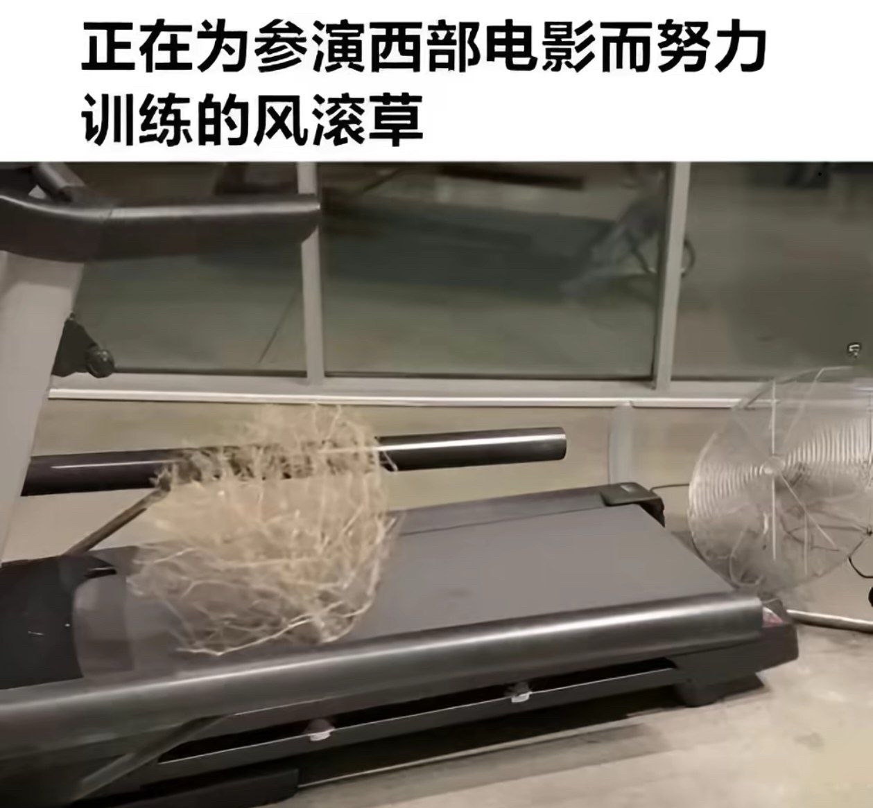 台下十年功