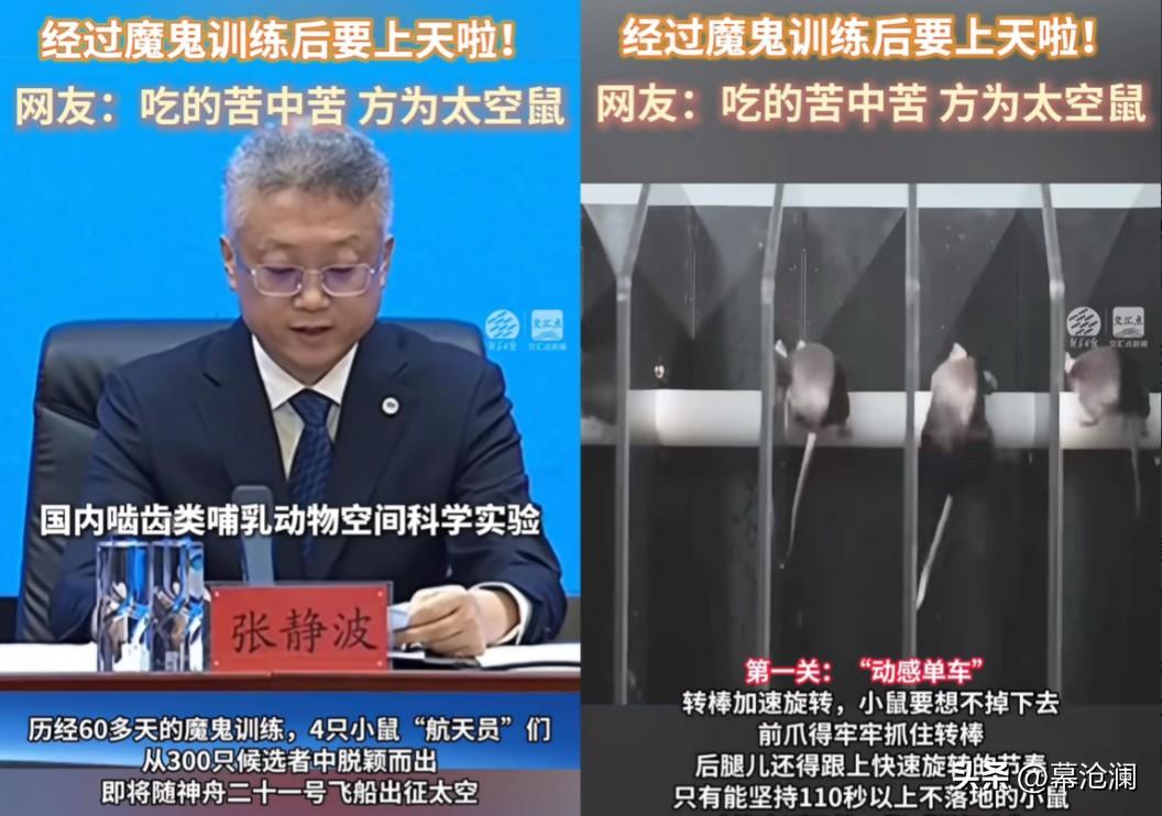 这下出名了，不仅中国，连全世界都知道了，除了三名航天员飞上太空，另外还有四只