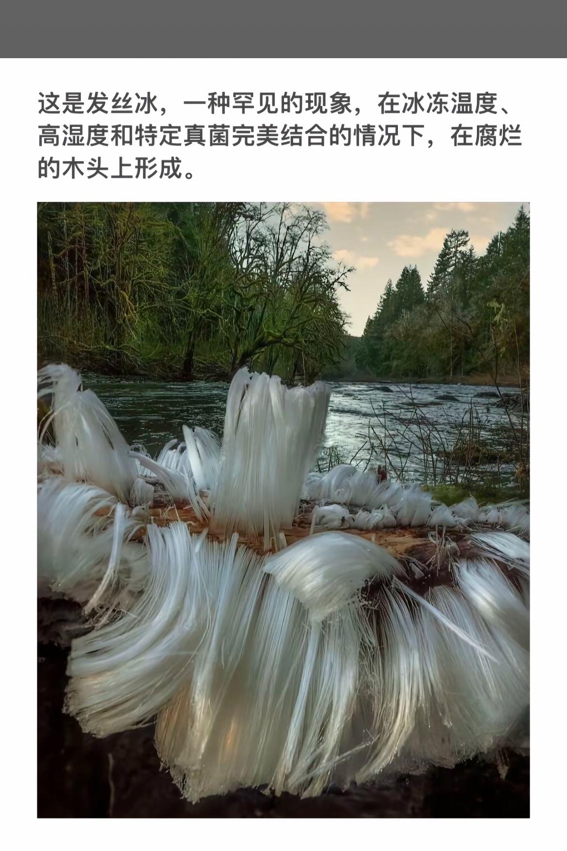 发丝冰，自然奇观，罕见美景！