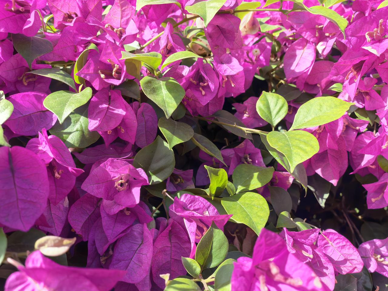 江西一女子轻信闺蜜：你这么漂亮，没有60万彩礼千万别嫁，谁料，3个月后，男友：我