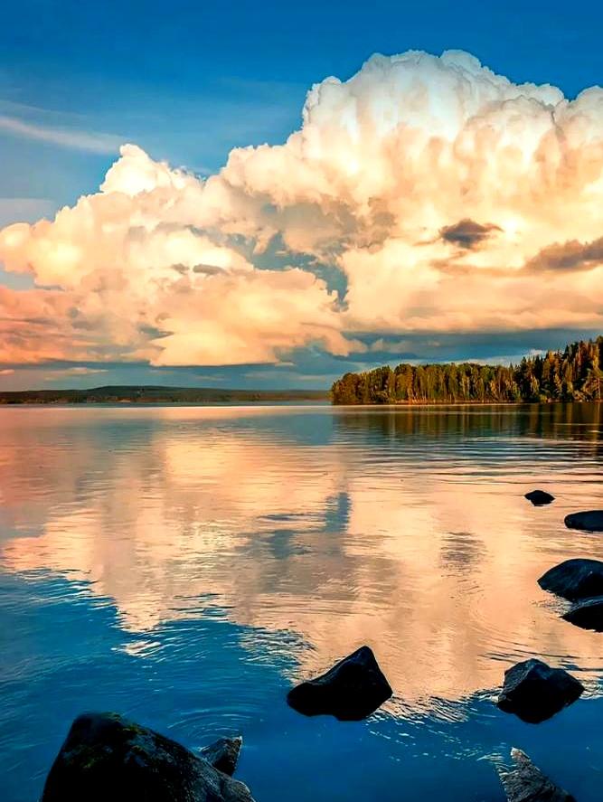 看到一句心理学观点，先被戳中了：女人不是单纯要被宠，她们更想靠一个能给安全感的