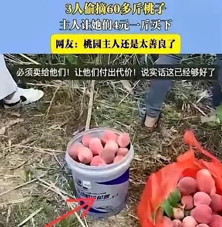6月10日，安徽，三个人偷了女子60斤桃子小杨没报警，反倒4元1斤卖给对方。