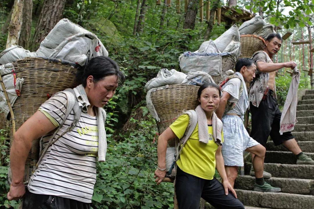 老君山“放着无人机吃灰”？37个挑山工的饭碗，藏着最暖的答案谁能想到，老君