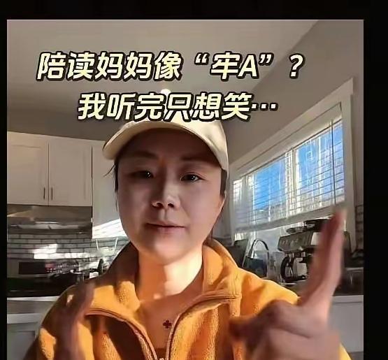 因为牢A爆料美国的陪读妈妈们的一些问题，结果就是一群陪读妈妈跳出来洗地。我其实