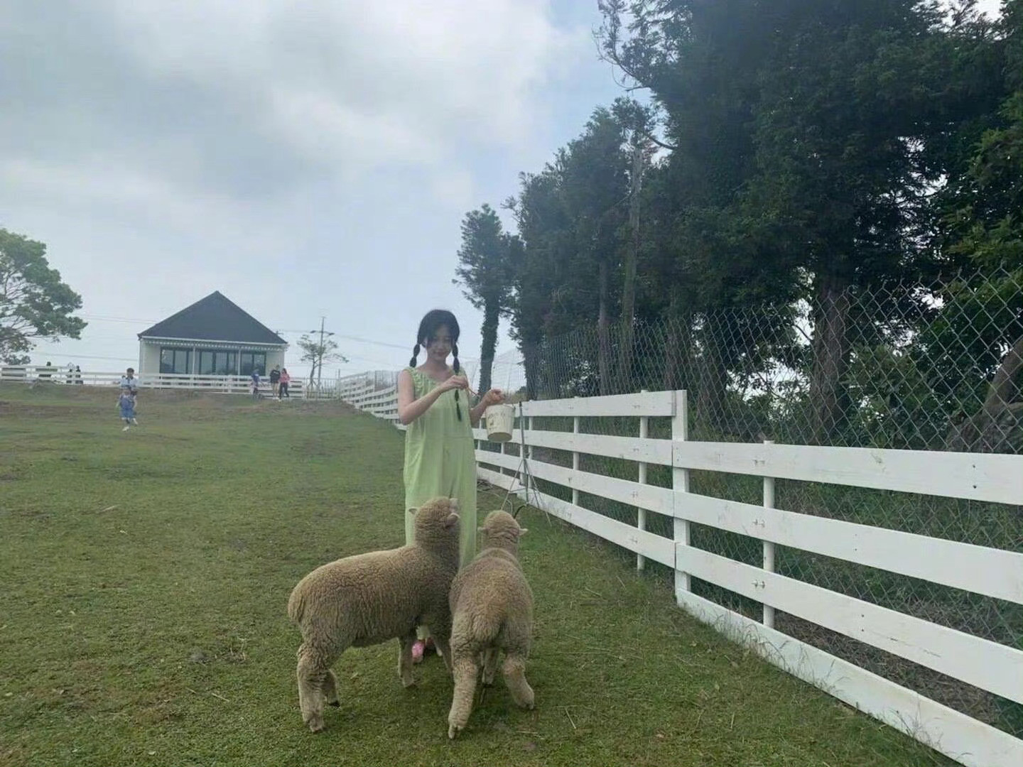 半年可见｜济州岛之旅空气像青苹果🍏虞书欣​​​