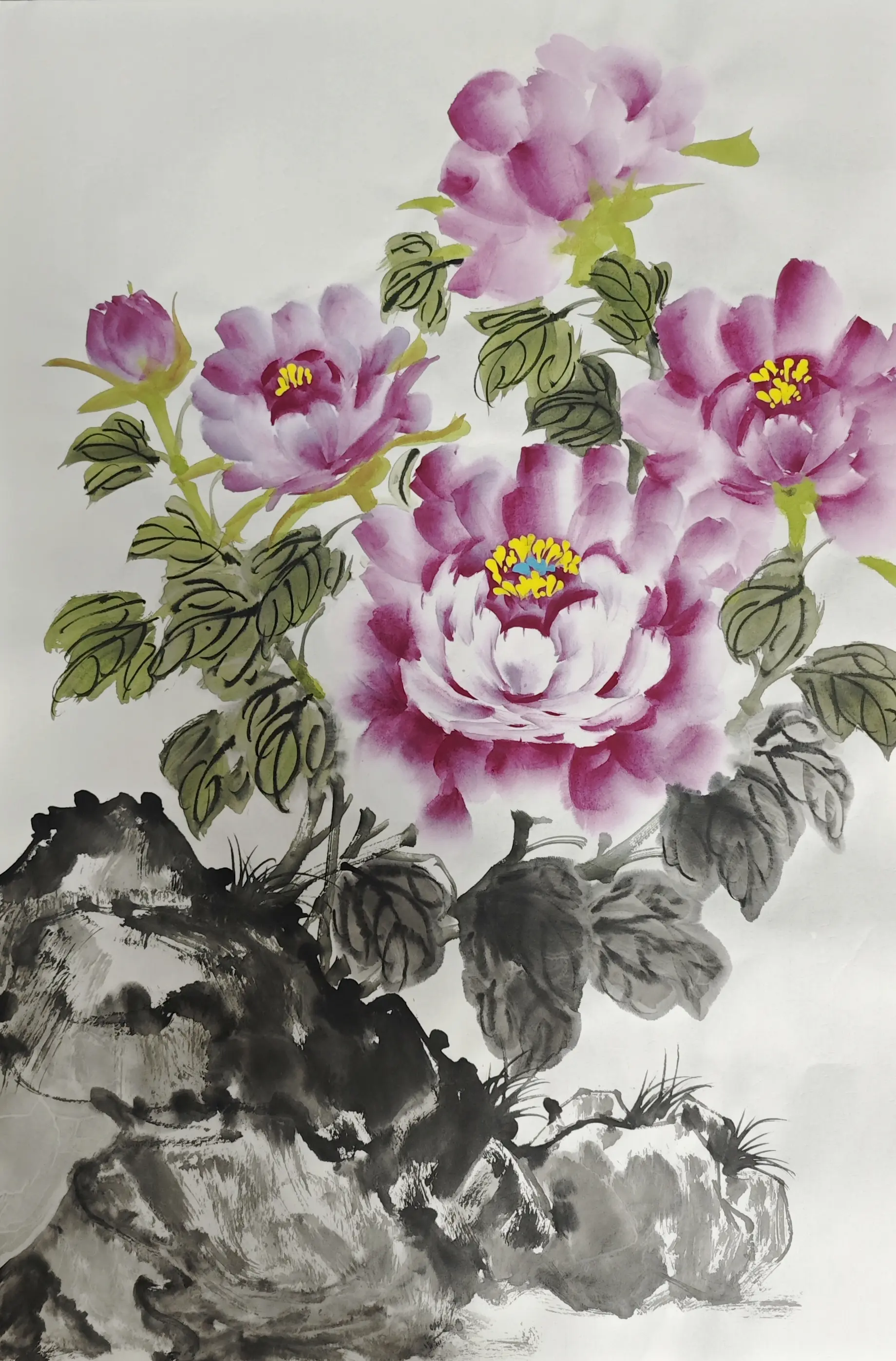 国画牡丹学习。学习练习