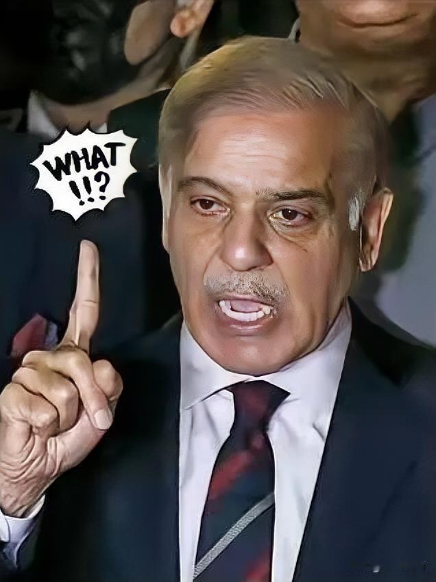 就在刚刚巴基斯坦宣布了2025年11月8日，巴基斯坦新闻部长阿陶拉·塔拉尔在