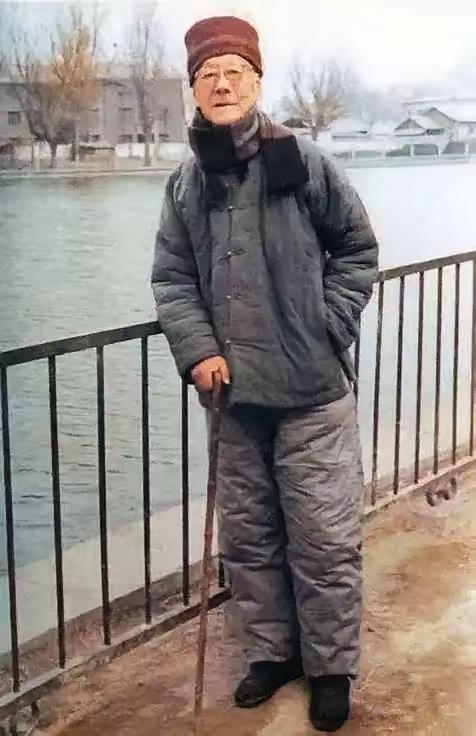 王铎：唉，这是袁世凯的儿子袁克定，晚年悲凉的样子。